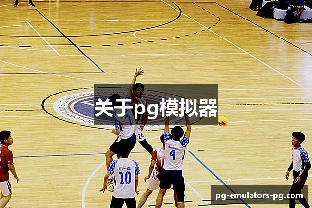 关于pg模拟器